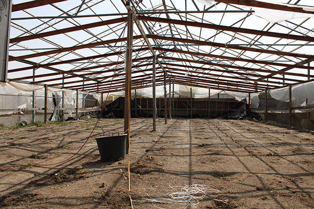 Illegal marijuana grow operations dismantled